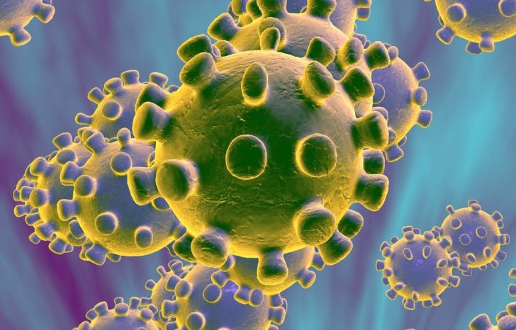 coronavirus_cop